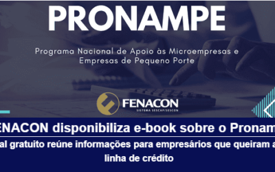 Fenacon disponibiliza e-book sobre o Pronampe